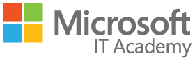 ms-it
