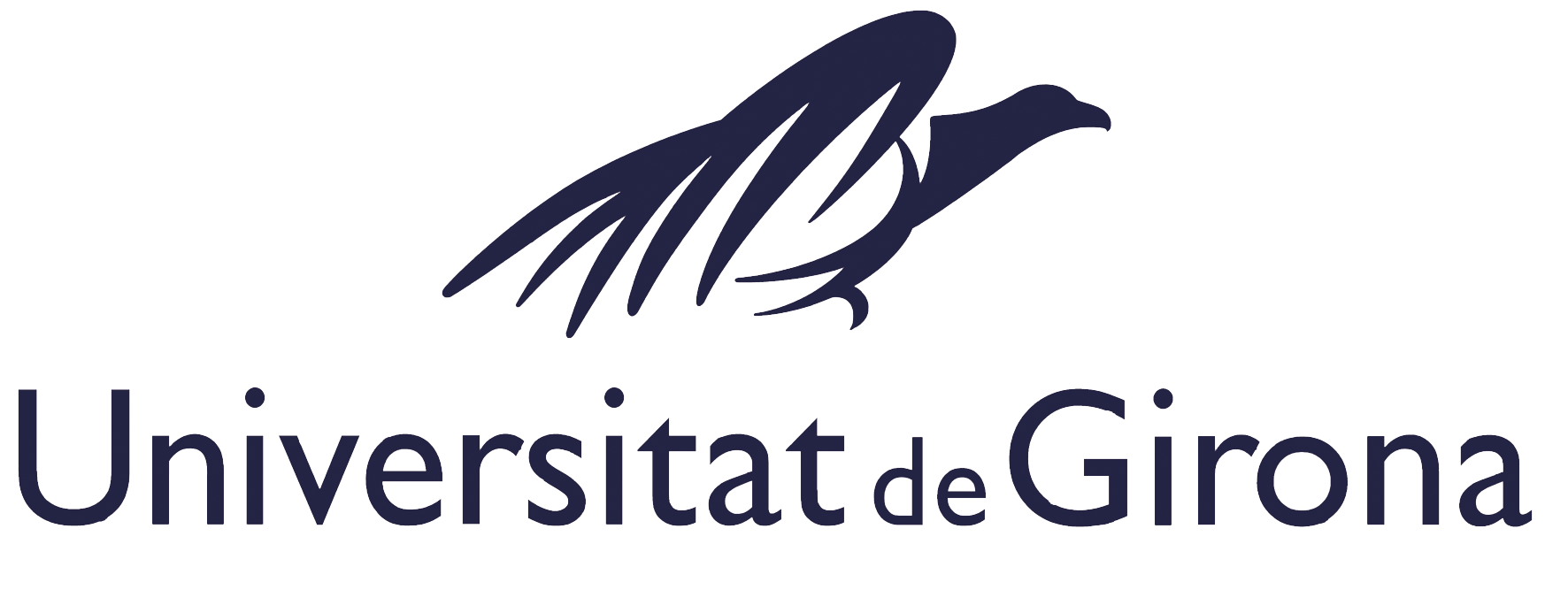 UdG centrat blau positiu
