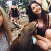 STUDENTS OF GRINCHENKO UNIVERSITY  HAVE HAD AN INTERNSHIP IN THE COUNTRY OF THE RISING SUN
